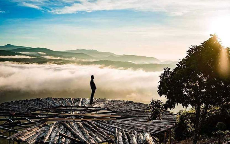 Review cầu gỗ săn mây Đà Lạt - địa điểm lý tưởng để checkin