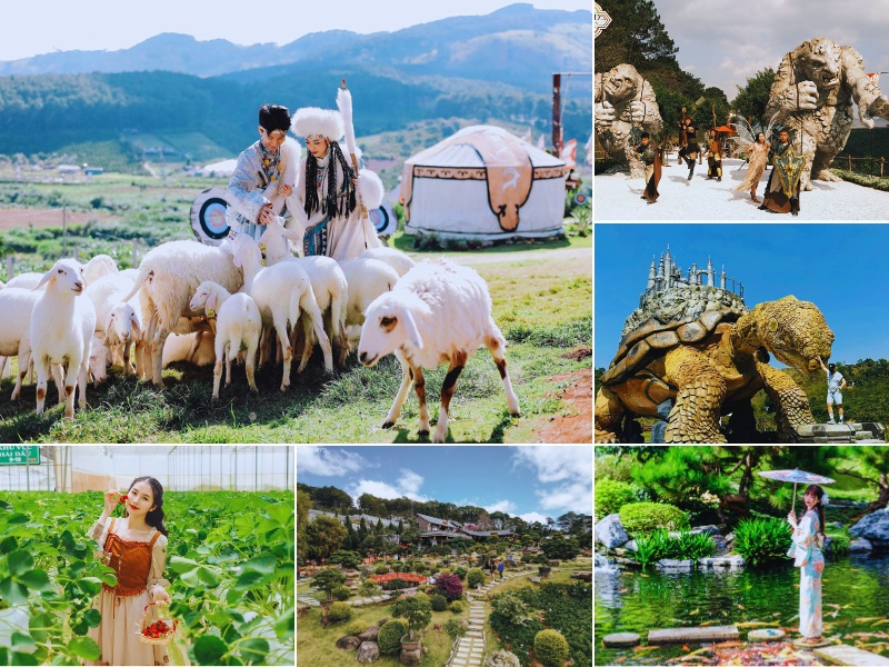 Khám phá Mongo Land Đà Lạt - Giá vé tham quan 2026