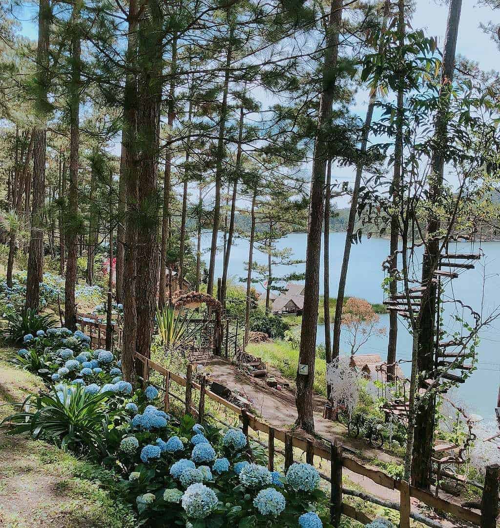 Phim Trường Happy Hill Đà Lạt